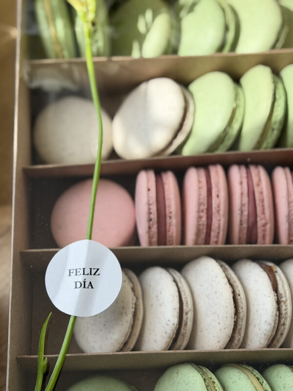 Macaron pistacho & matcha